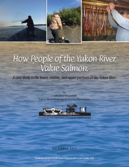 How People Of The Yukon River Value Salmon - Yukon River Drainage 