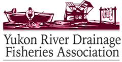 Yukon River Drainage Fisheries Association